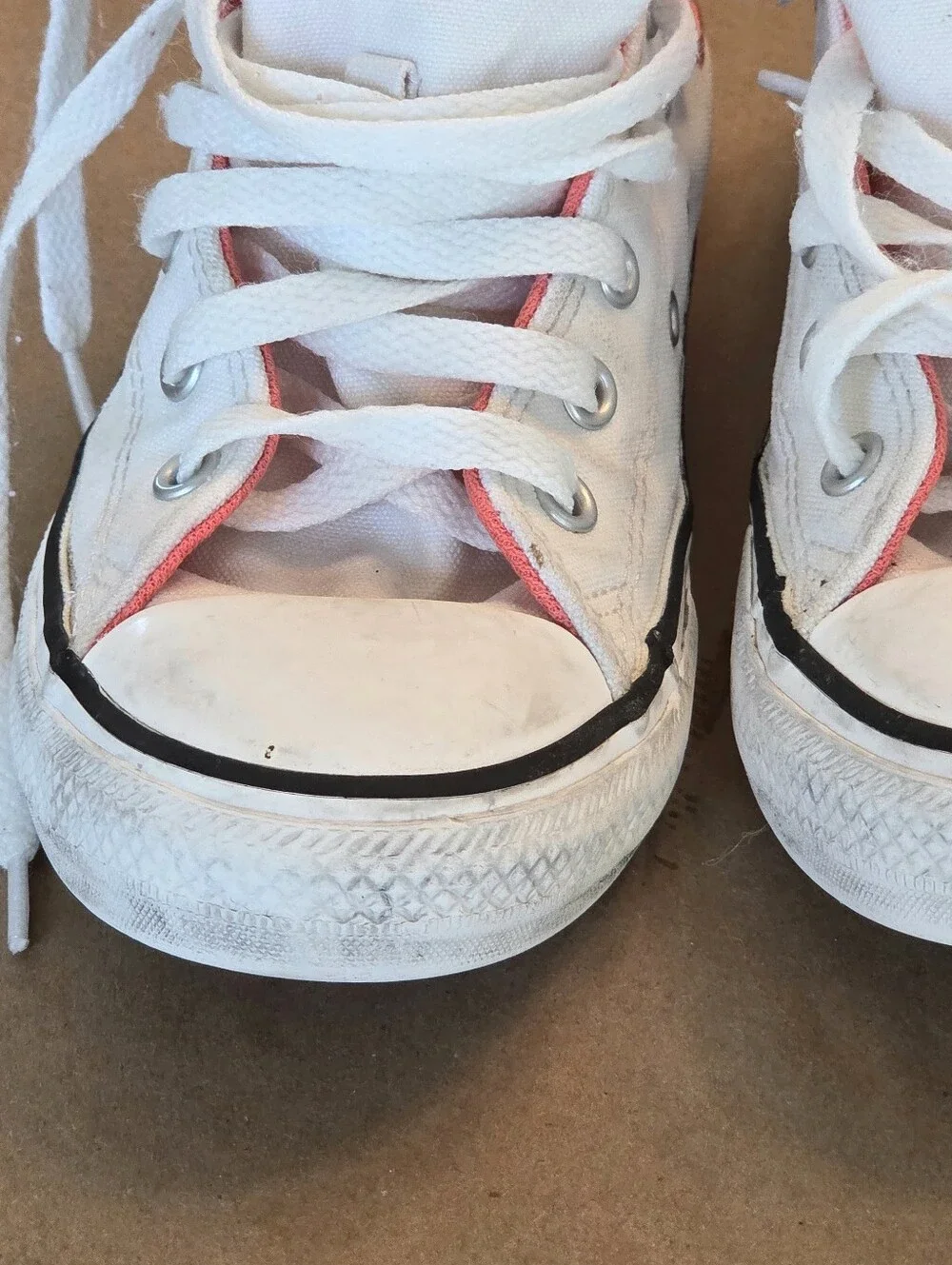 Chuck Taylor All Star Succulent Embroidery Youth size 2 Converse